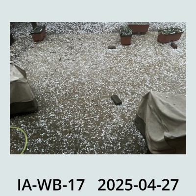 Hail Obs Photo