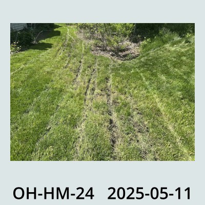 Hail Obs Photo
