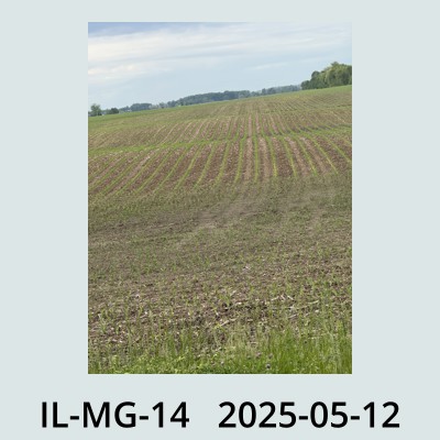 Hail Obs Photo