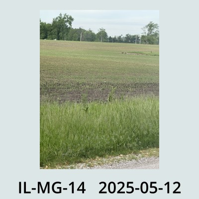 Hail Obs Photo