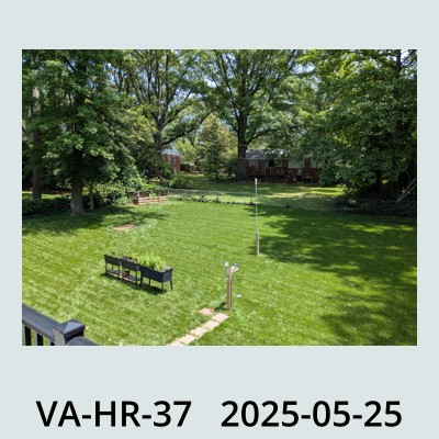 Hail Obs Photo