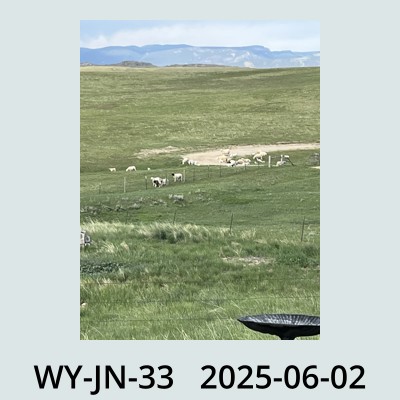 Hail Obs Photo