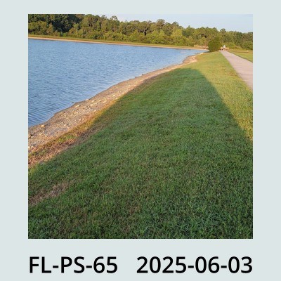 Hail Obs Photo