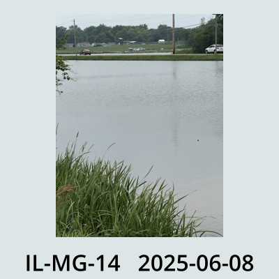 Hail Obs Photo