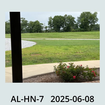 Hail Photo