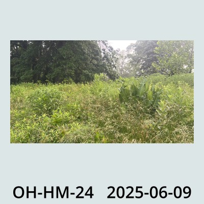 Hail Obs Photo