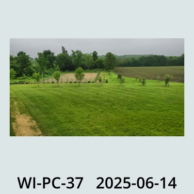 Hail Photo