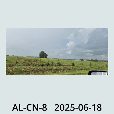 Hail Obs Photo