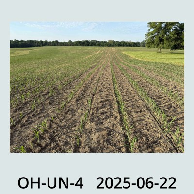 Hail Obs Photo