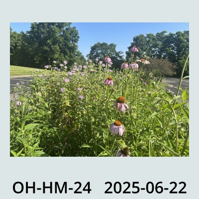 Hail Obs Photo