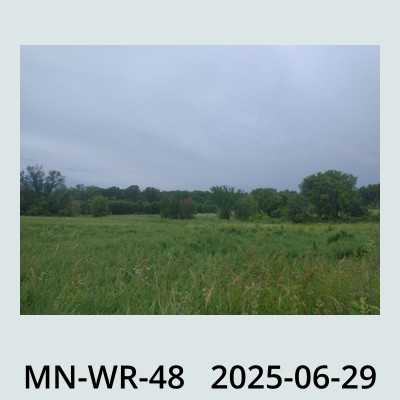 Hail Obs Photo