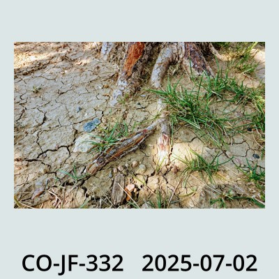 Hail Obs Photo