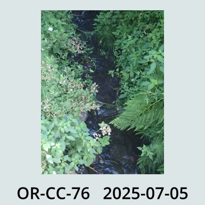 Hail Obs Photo