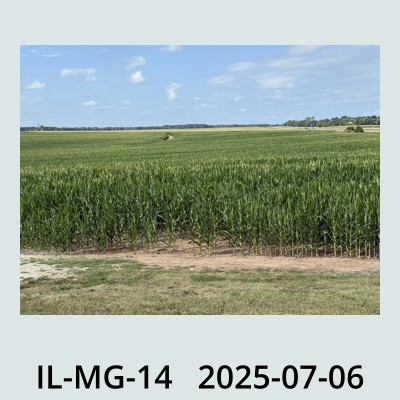 Hail Obs Photo