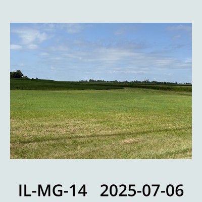 Hail Obs Photo