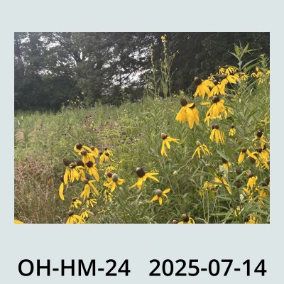 Hail Obs Photo
