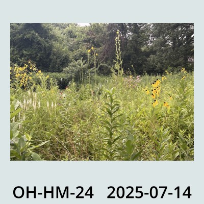 Hail Obs Photo