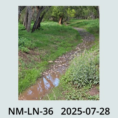 Hail Obs Photo