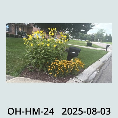 Hail Obs Photo