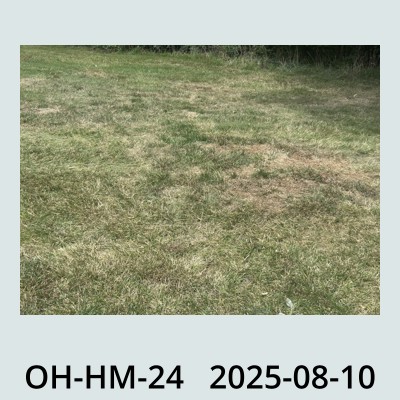 Hail Obs Photo