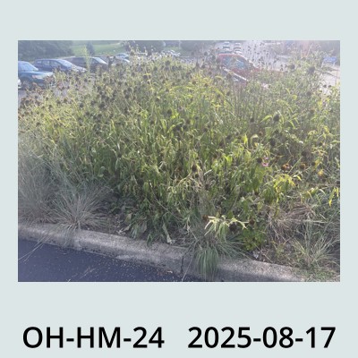 Hail Obs Photo