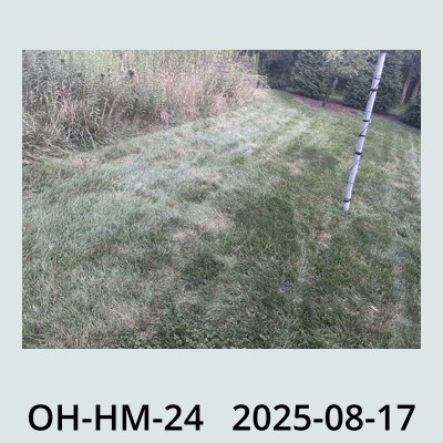 Hail Obs Photo