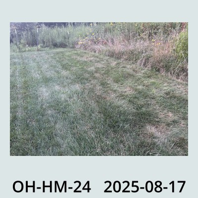 Hail Obs Photo