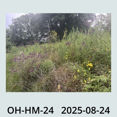 Hail Obs Photo