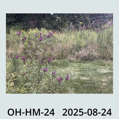 Hail Obs Photo