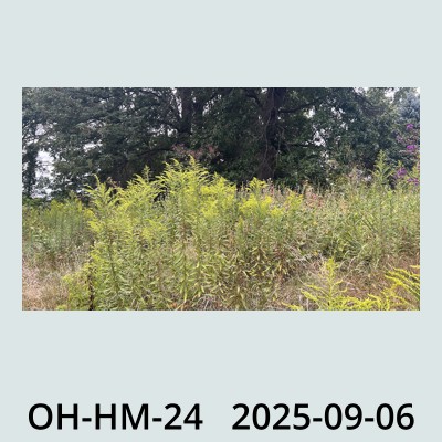 Hail Obs Photo