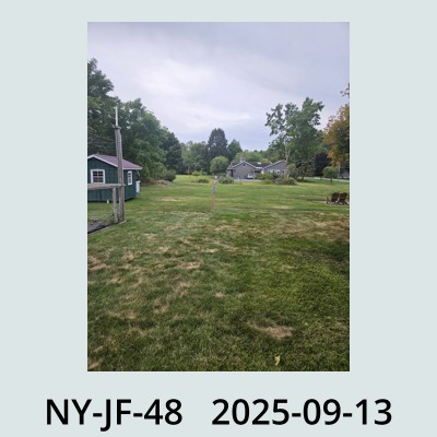 Hail Obs Photo