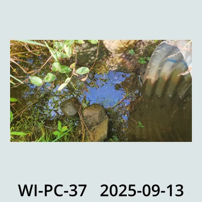 Hail Obs Photo