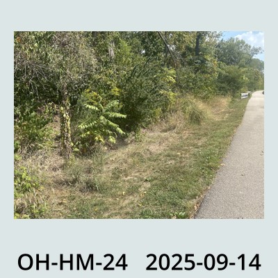 Hail Obs Photo