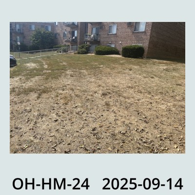 Hail Obs Photo