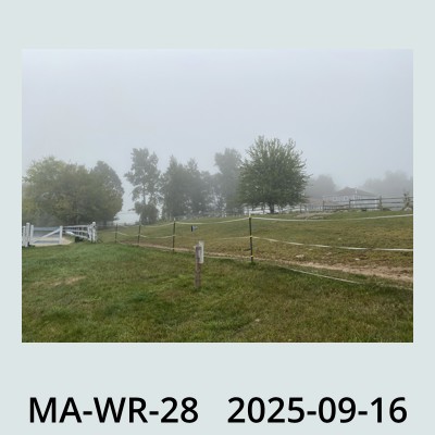 Hail Obs Photo