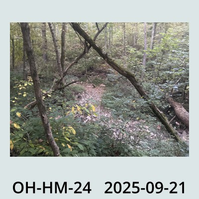 Hail Obs Photo