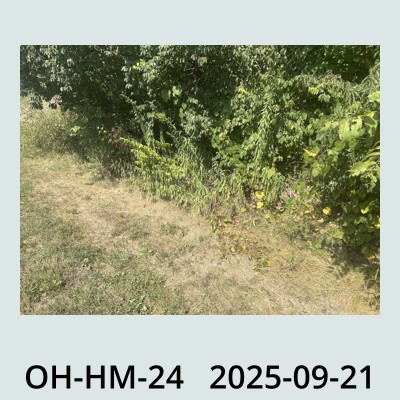 Hail Obs Photo