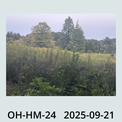 Hail Obs Photo