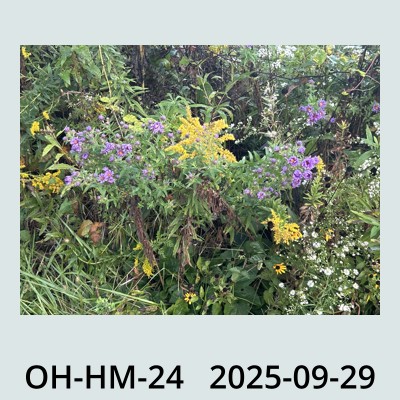 Hail Obs Photo