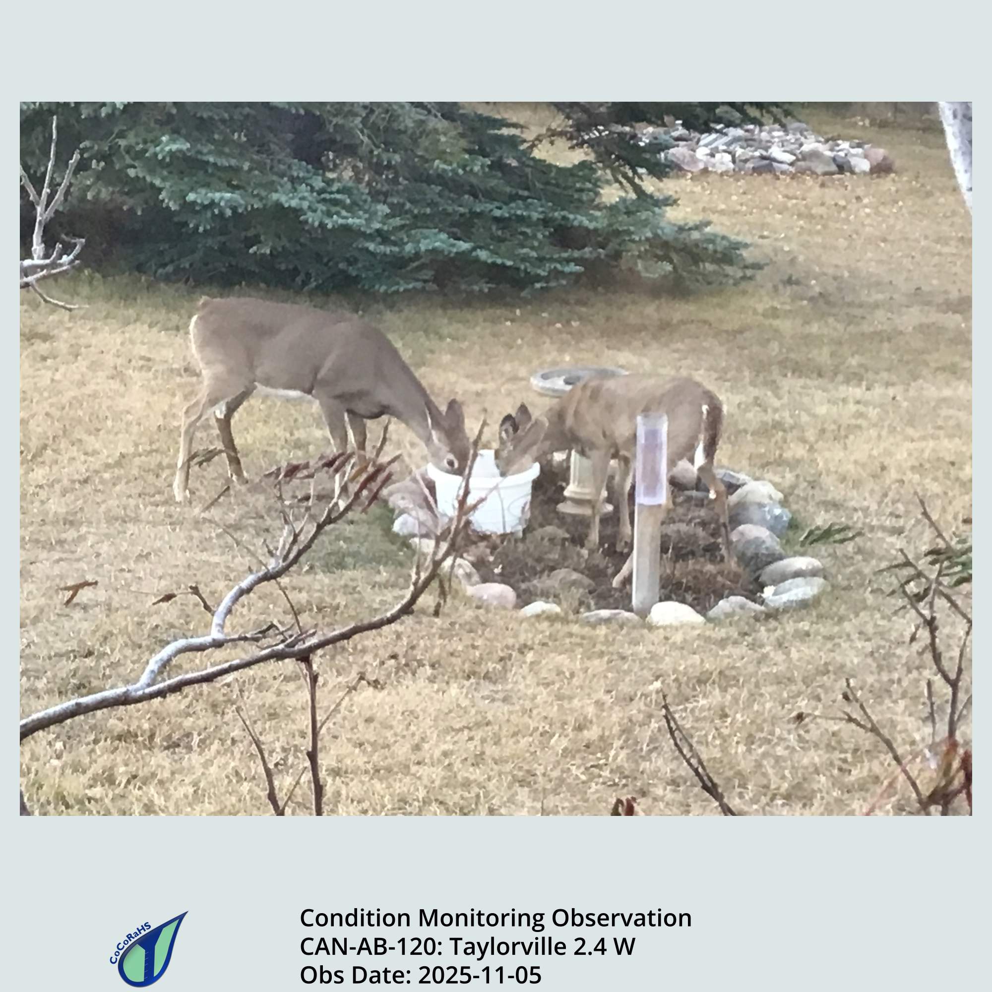 Full size version of the thumbnail.