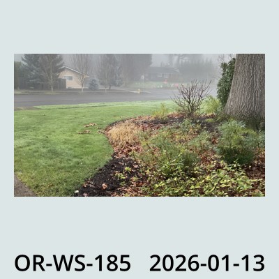 Hail Obs Photo