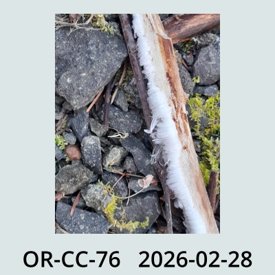 Hail Obs Photo