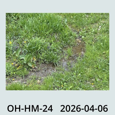 Hail Obs Photo