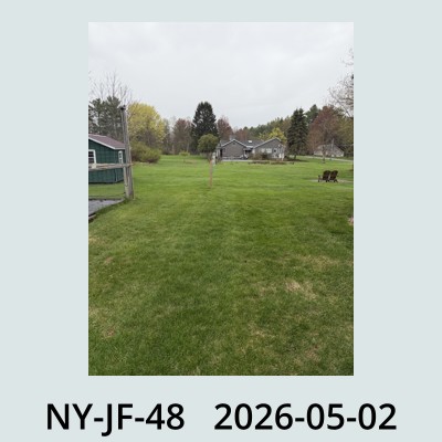 Hail Obs Photo