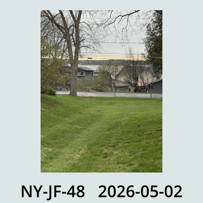 Hail Obs Photo