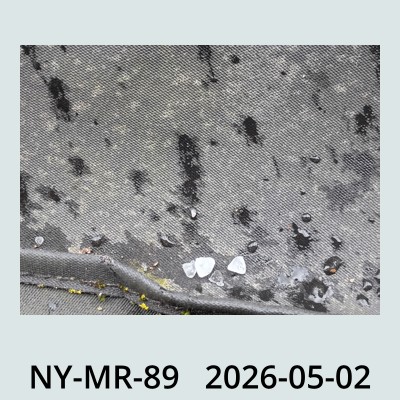 Hail Obs Photo