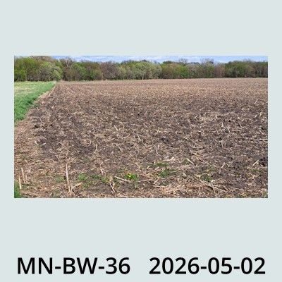 Hail Obs Photo
