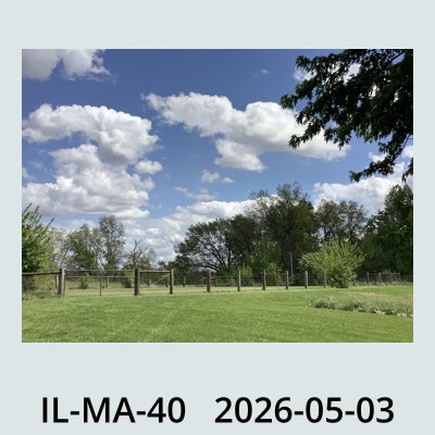 Hail Obs Photo