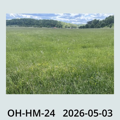 Hail Obs Photo
