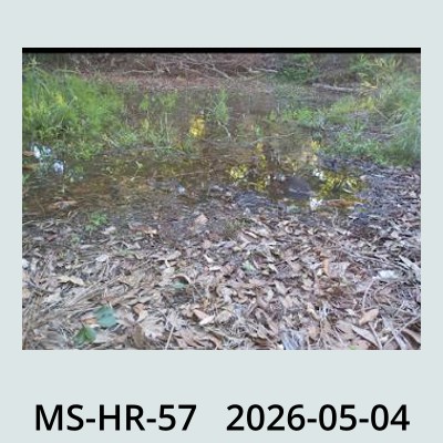 Hail Obs Photo